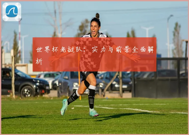 世界杯老挝队：实力与前景全面解析