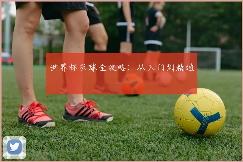 世界杯买球全攻略：从入门到精通